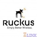 Ruckus ZoneDirector 3000 License Upgrade Supporting an Additional 100 ZoneFlex AP's