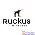 Ruckus Wireless 909-1125-ZD01
