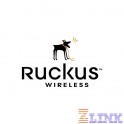 Ruckus vSCG License supporting 500 Ruckus Access Points