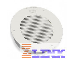 CyberData 011121 V2 Auxiliary Analog Speaker